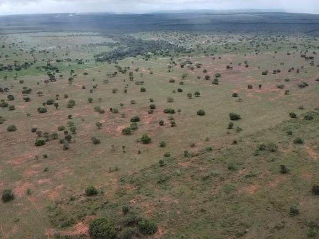 Sítio e chácara venda em Região Geográfica Imediata de Pirapora, Buritizeiro