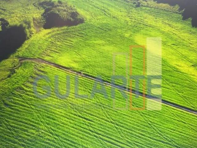 Sítio e chácara venda em Região Geográfica Imediata de São Gabriel - Caçapava do Sul, Cacapava do Sul