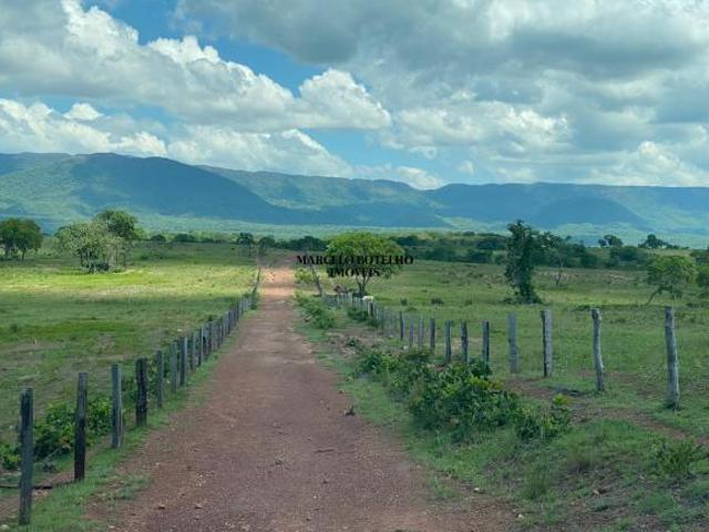 Sítio e chácara venda em Região Geográfica Imediata de Cáceres, Antônio João