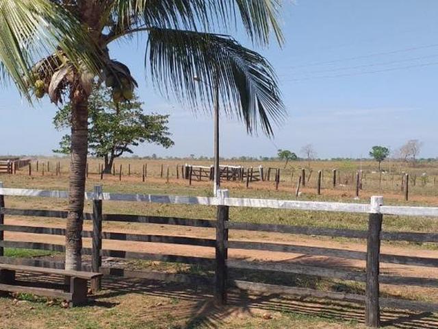 Sítio e chácara venda em Região Geográfica Imediata de Cáceres, Antônio João