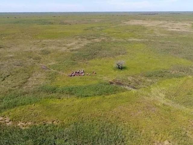 Sítio e chácara venda em Região Geográfica Imediata de Cáceres, Antônio João