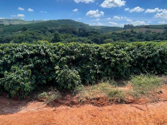 Sítio e chácara venda em Região Imediata de São José do Rio Pardo-Mococa, Caconde