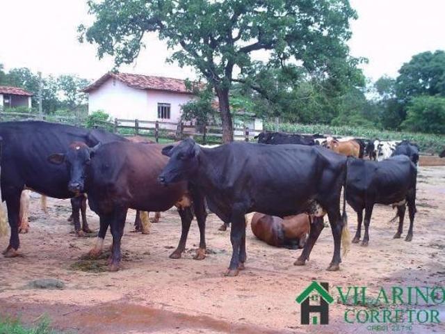 Sítio e chácara venda em Região Geográfica Imediata de Sete Lagoas, Caetanópolis