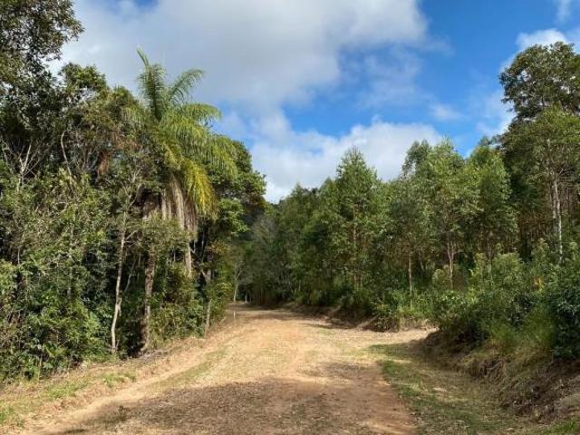 Sítio e chácara venda em Região Geográfica Imediata de Governador Valadares, Governador Valadares