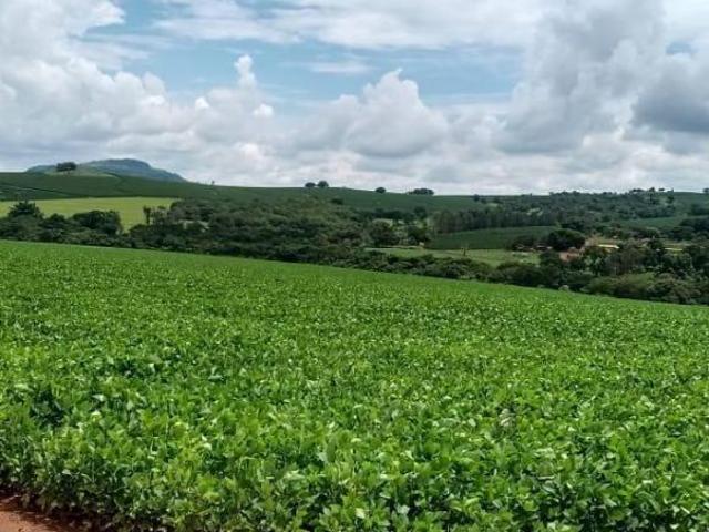 Sítio e chácara venda em Região Imediata de Lins, Cafelândia