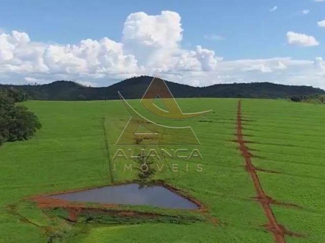 Sítio e chácara venda em Região Geográfica Imediata de Jataí-Mineiros, Caiapônia
