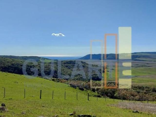 Sítio e chácara venda em Região Geográfica Imediata de Caxias do Sul, Cambara do Sul