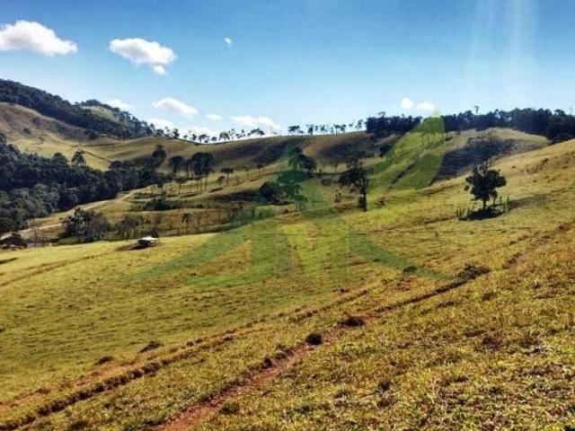 Sítio e chácara venda em Região Geográfica Imediata de Pouso Alegre, Cambuí