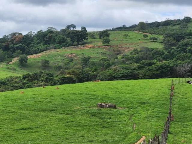 Sítio e chácara venda em Região Geográfica Imediata de Três Corações, Campanha