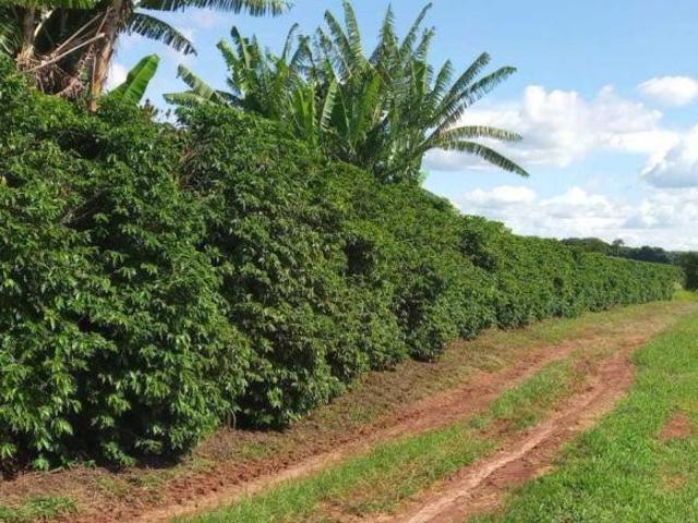 Sítio e chácara venda em Região Geográfica Imediata de Três Corações, Campanha