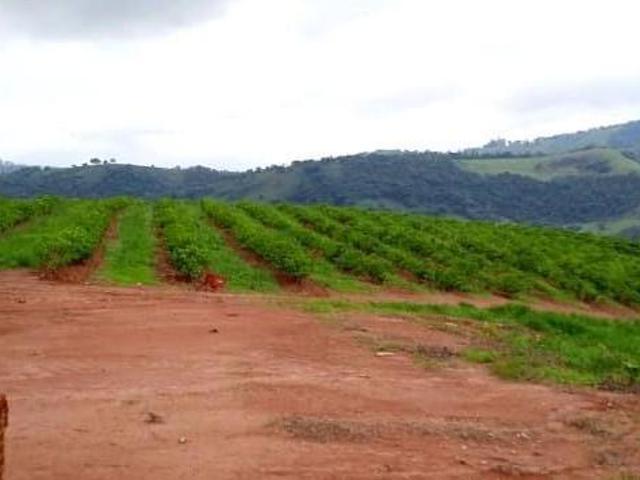 Sítio e chácara venda em Região Geográfica Imediata de Três Corações, Campanha