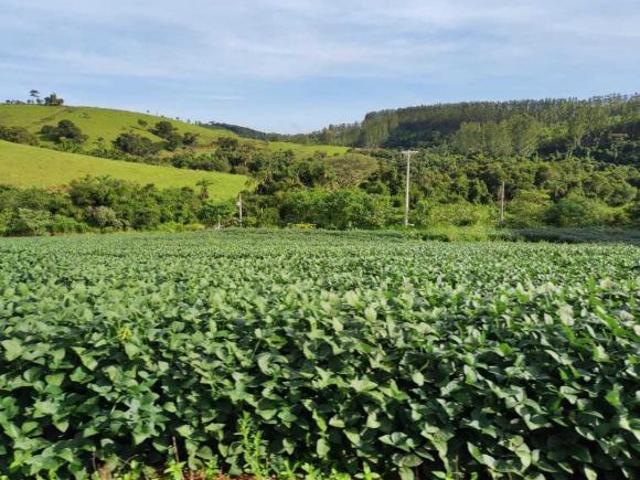 Sítio e chácara venda em Região Geográfica Imediata de Gurupi, Formoso do Araguaia
