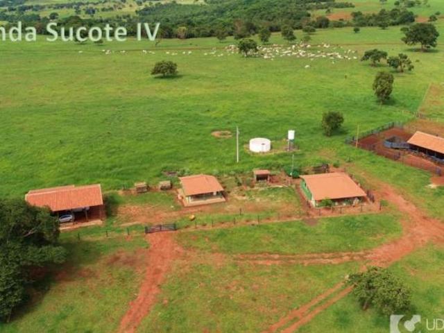 Sítio e chácara venda em Região Geográfica Imediata de Uberlândia, Campina Verde