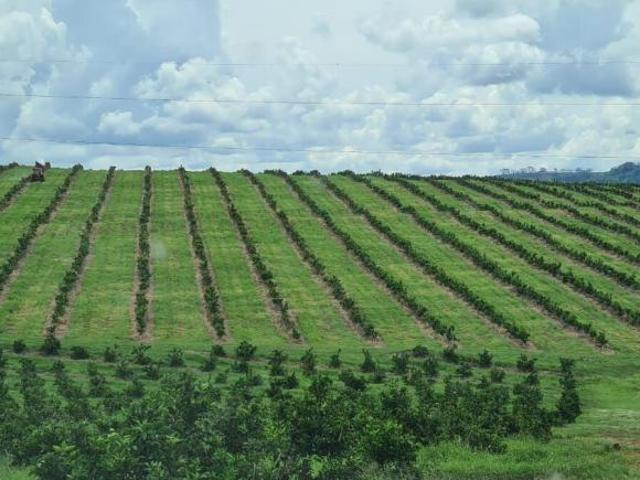 Sítio e chácara venda em Campina Verde, Região Geográfica Intermediária de Uberlândia