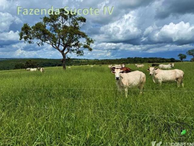 Sítio e chácara venda em Região Geográfica Imediata de Uberlândia, Campina Verde