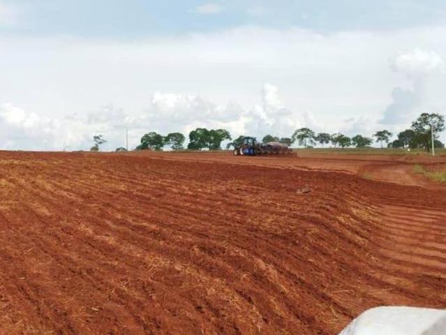 Sítio e chácara venda em Região Geográfica Imediata de Uberlândia, Campina Verde