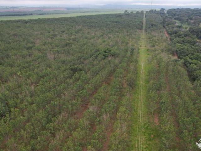 Sítio e chácara venda em Honorópolis, Campina Verde