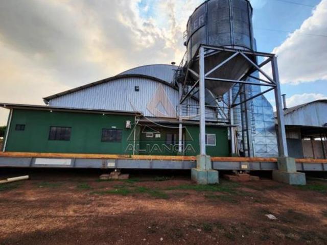 Sítio e chácara venda em Região Geográfica Imediata de Uruaçu - Niquelândia, Campinorte