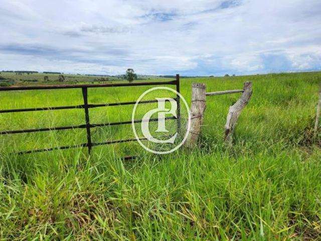 Sítio e chácara venda em Vila General Wolgrand, Campo Grande