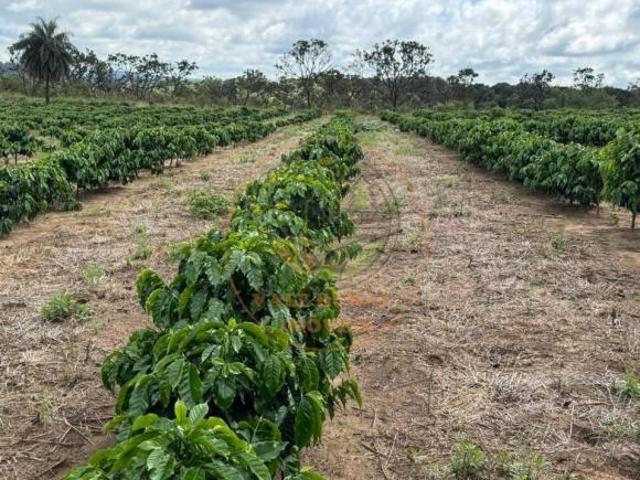 Sítio e chácara venda em Região Geográfica Imediata de Araxá, Campos Altos