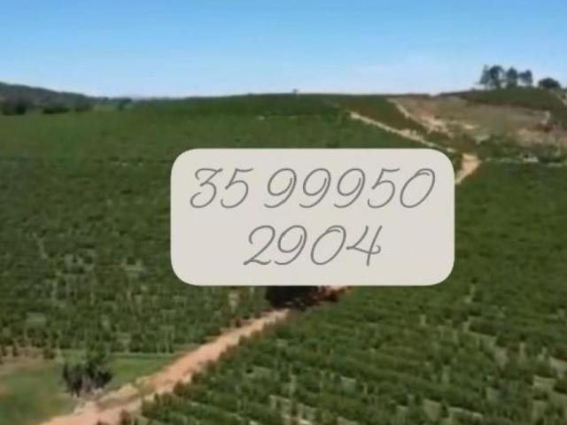 Sítio e chácara venda em Região Geográfica Imediata de Alfenas, Campos Gerais