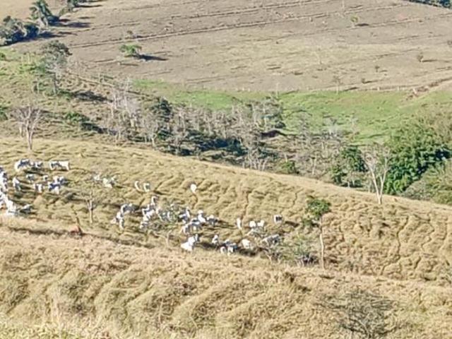 Sítio e chácara venda em Região Imediata de Guaratinguetá, Região Metropolitana do Vale do Paraíba e Litoral Norte