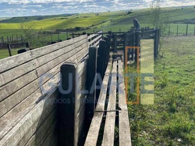 Sítio e chácara venda em Região Geográfica Imediata de Bagé, Candiota