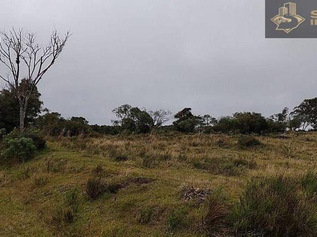 Sítio e chácara venda em Região Geográfica Imediata de Pelotas, Canguçu