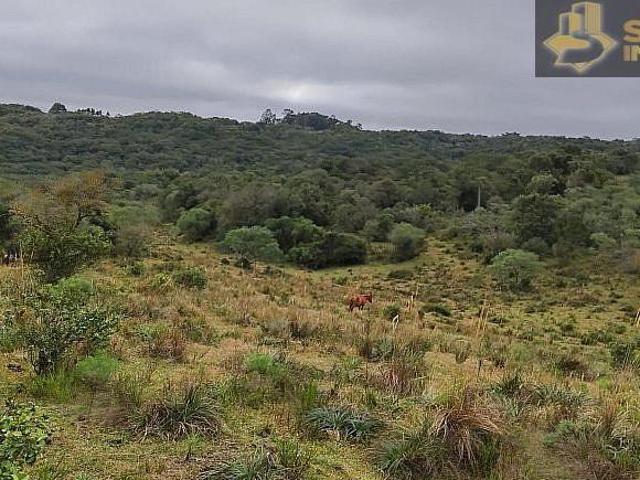 Sítio e chácara venda em Região Geográfica Imediata de Pelotas, Canguçu