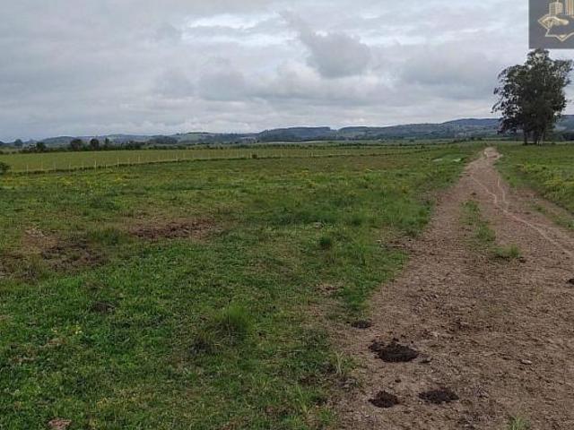Sítio e chácara venda em Região Geográfica Imediata de Pelotas, Aglomeração Urbana do Sul