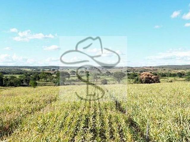 Sítio e chácara venda em Capitão Enéas, Região Geográfica Intermediária de Montes Claros