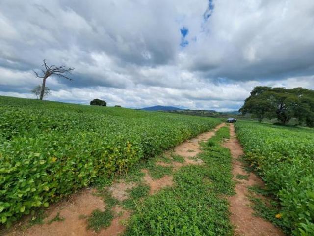 Sítio e chácara venda em Região Geográfica Imediata de Pouso Alegre, Careaçu