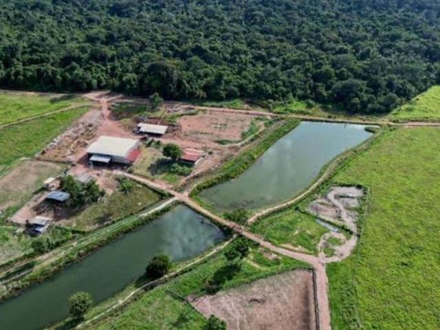 Sítio e chácara venda em Região Geográfica Imediata de Alta Floresta, Carlinda