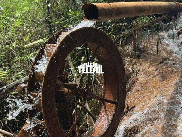 Sítio e chácara venda em Região Geográfica Imediata de Três Corações, Carmo da Cachoeira