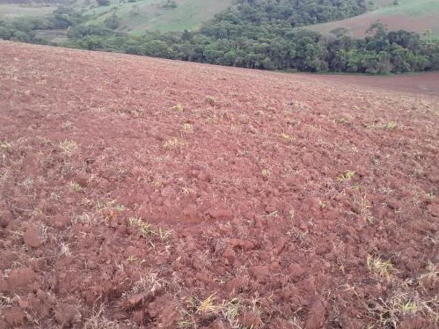 Sítio e chácara venda em Região Geográfica Imediata de São Lourenço, Carmo de Minas