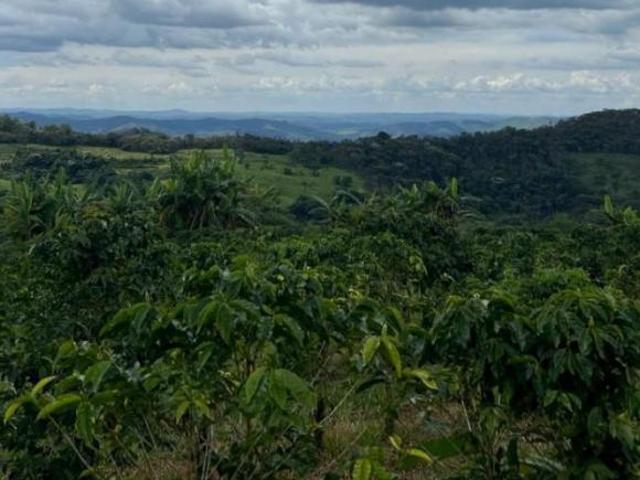 Sítio e chácara venda em Região Geográfica Imediata de São Lourenço, Carmo de Minas