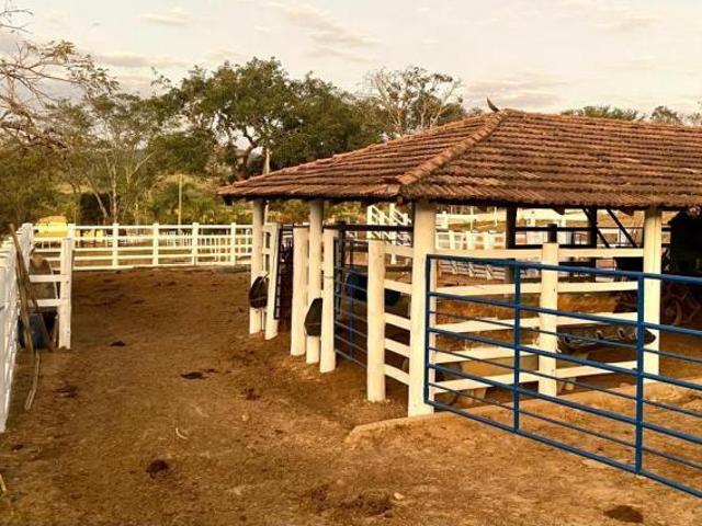 Sítio e chácara venda em Região Geográfica Imediata de Divinópolis, Carmo do Cajuru