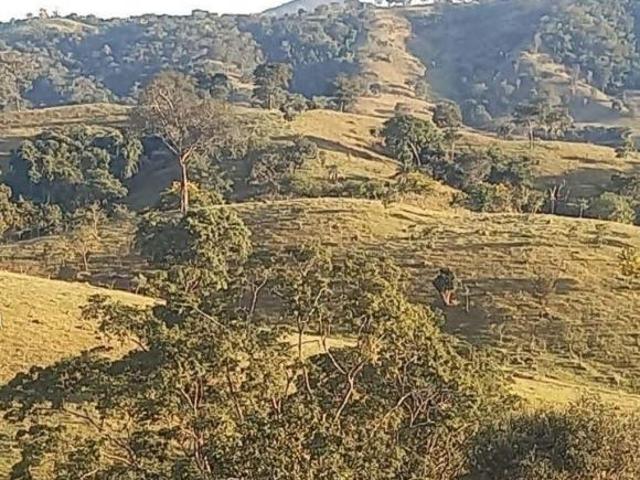 Sítio e chácara venda em Região Geográfica Imediata de Ceres - Rialma - Goianésia, Carmo do Rio Verde