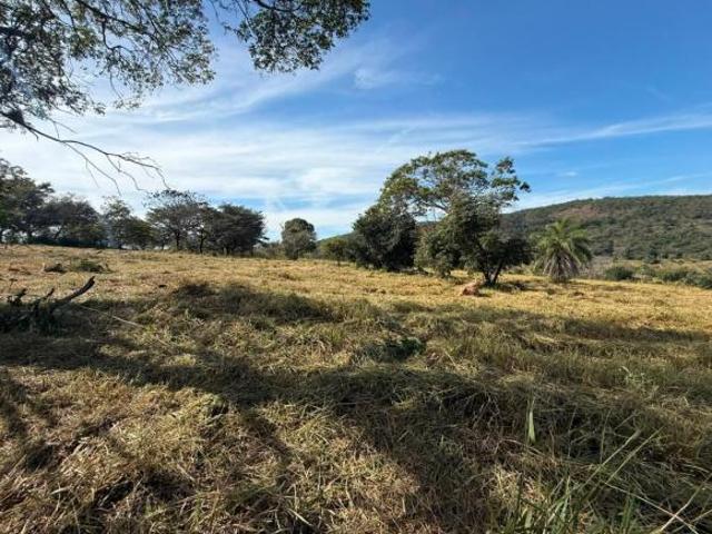 Sítio e chácara venda em Carmópolis de Minas, Região Geográfica Intermediária de Divinópolis