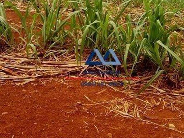 Sítio e chácara venda em Região Geográfica Imediata de Conselheiro Lafaiete, Casa Grande