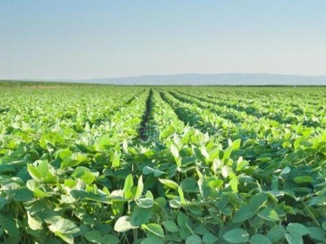 Sítio e chácara venda em Região Geográfica Imediata de Juína, Castanheira