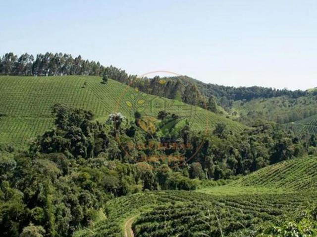 Sítio e chácara venda em Região Geográfica Imediata de Caxambu - Baependi, Caxambu