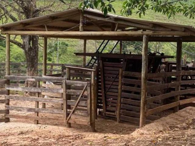 Sítio e chácara venda em Região Geográfica Imediata de Juiz de Fora, Juiz de Fora