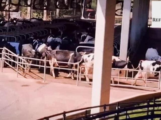 Sítio e chácara venda em Região Geográfica Imediata de Caxambu - Baependi, Caxambu