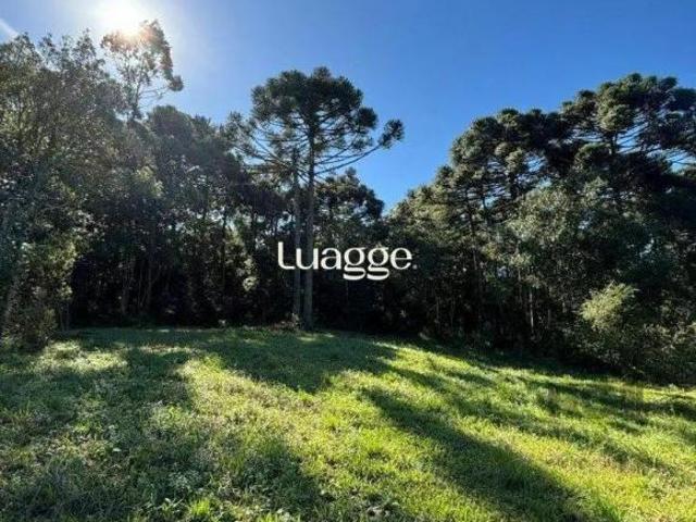Sítio e chácara venda em Região Geográfica Imediata de Caxias do Sul, Caxias do Sul