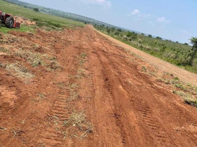 Sítio e chácara venda em Região Geográfica Imediata de Paranaíba - Chapadão do Sul - Cassilândia, Chapadão do Sul