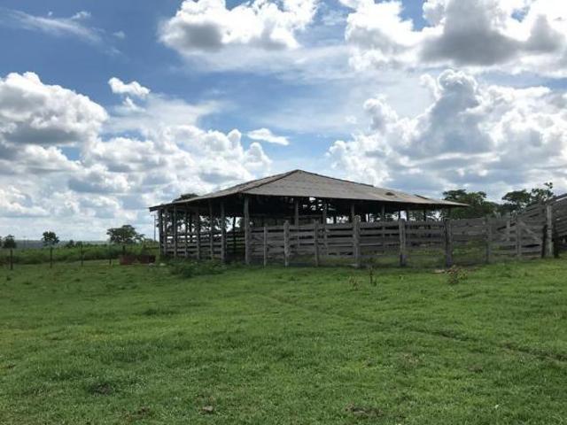 Sítio e chácara venda em Região Geográfica Imediata de Cuiabá, Região Metropolitana do Vale do Rio Cuiabá
