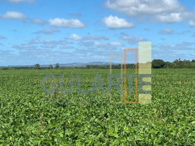 Sítio e chácara venda em Região Geográfica Imediata de Charqueadas - Triunfo - São Jerônimo, Região Metropolitana de Porto Alegre