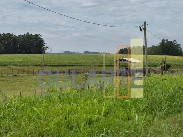 Sítio e chácara venda em Região Geográfica Imediata de Charqueadas - Triunfo - São Jerônimo, Região Metropolitana de Porto Alegre