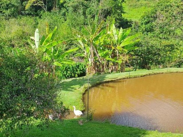 Sítio e chácara venda em Região Geográfica Imediata de Divinópolis, Cláudio